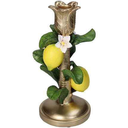 Kerzenhalter mit Zitronenpflanze - ↑ 22 cm