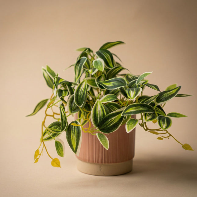 Tradescantia Groen/Wit in pot - 19 cm - Kunstplant