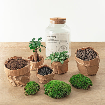 Planten terrarium • Little Milky + Led lamp • Ecosysteem plant • ↑ 25 cm