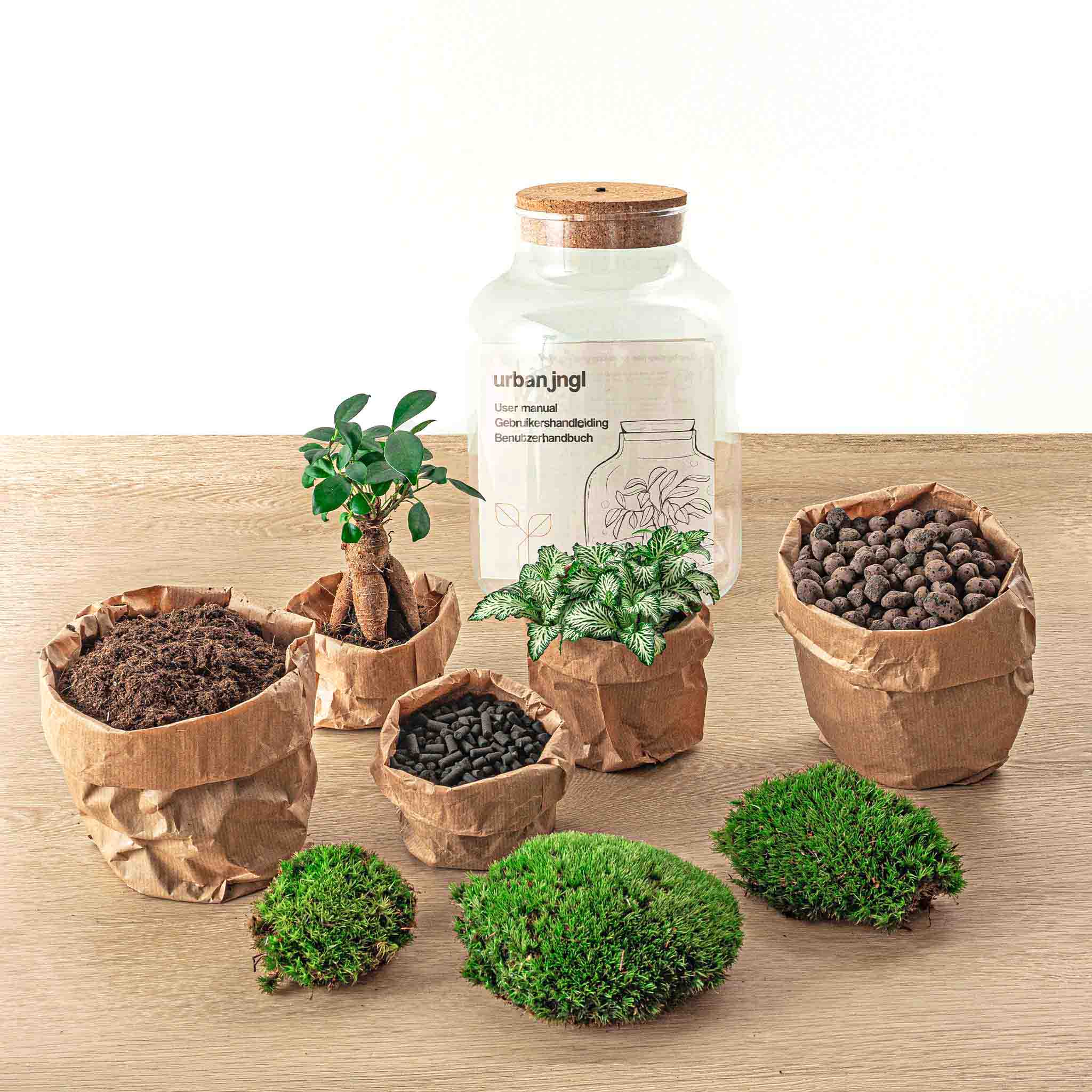 Kit DIY Terrarium • Little Joe • Écosystème avec plantes • ↑ 21,5