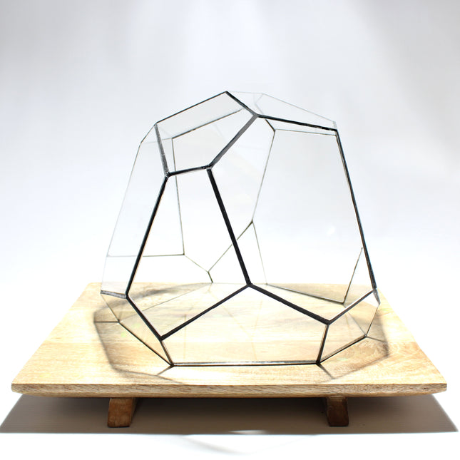 Geometric Terrarium - Torno - Vivarium - ↑ 28 x 26 x 24 cm (LxWxH) - Glass