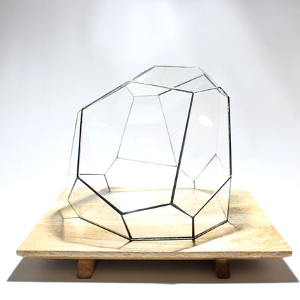 Geometrisch Terrarium - Terra - Vivarium - ↑ 28 x 26 x 24 cm (LxBxH) - Glas