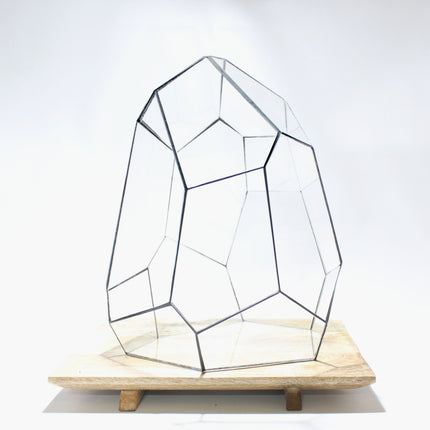 Geometric Terrarium - Stellar - Vivarium - ↑ 27 x 27 x 36 cm (LxWxH) - Glas