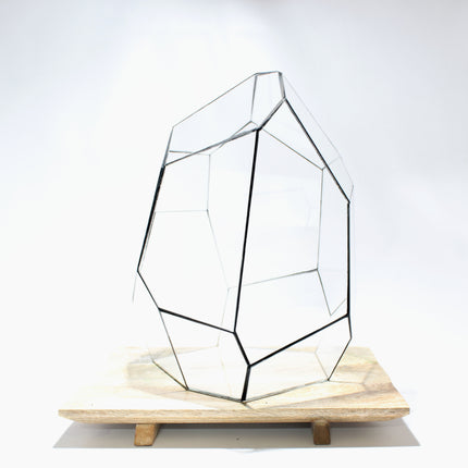 Geometrisch Terrarium - Stellar - Vivarium - ↑ 27 x 27 x 36 cm (LxBxH) - Glas
