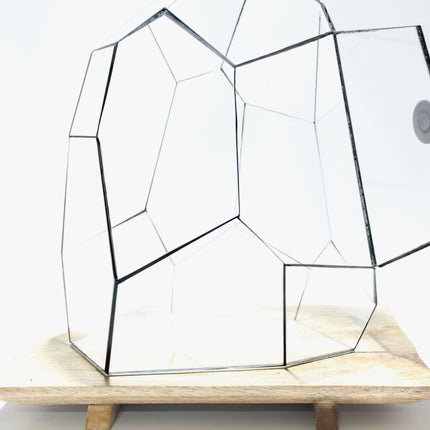 Geometrisch Terrarium - Stellar - Vivarium - ↑ 27 x 27 x 36 cm (LxBxH) - Glas