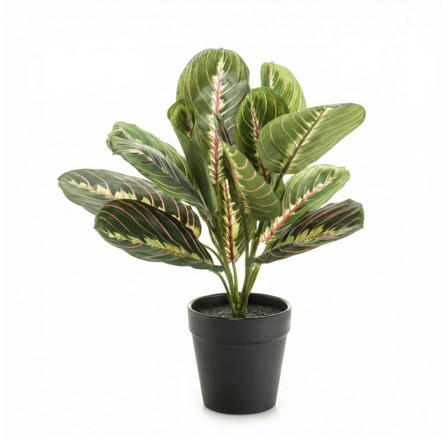 Maranta Bush in Pot - Kunstplant - 30 cm
