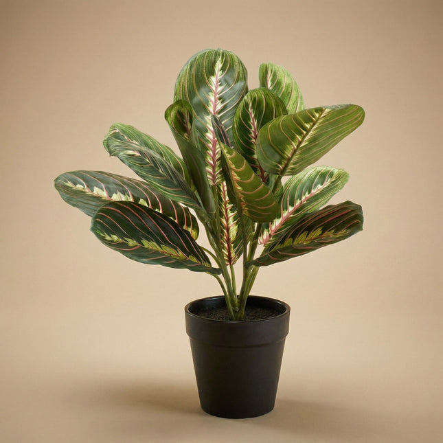 Maranta Bush in Pot - Kunstplant - 30 cm