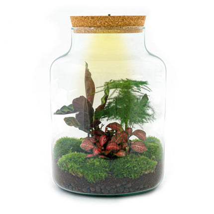 Milky - Planten Terrarium met licht - DIY kit - Ecosysteem plant - Ø 21 cm ↑ 30 cm