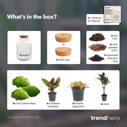 Milky Palm - Flaschengarten mit Licht - DIY Terrarium mit Pflanzen im Glas - Ø 21 cm ↑ 30 cm