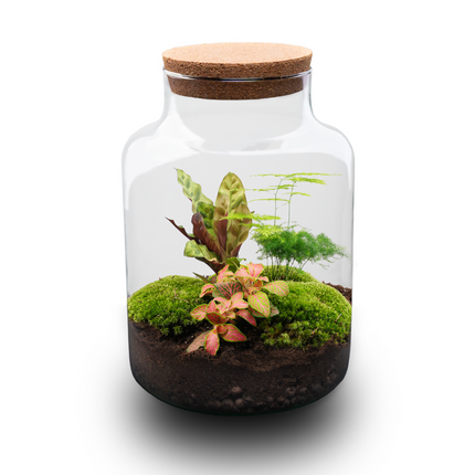 Milky - Planten Terrarium met licht - DIY kit - Ecosysteem plant - Ø 21 cm ↑ 30 cm