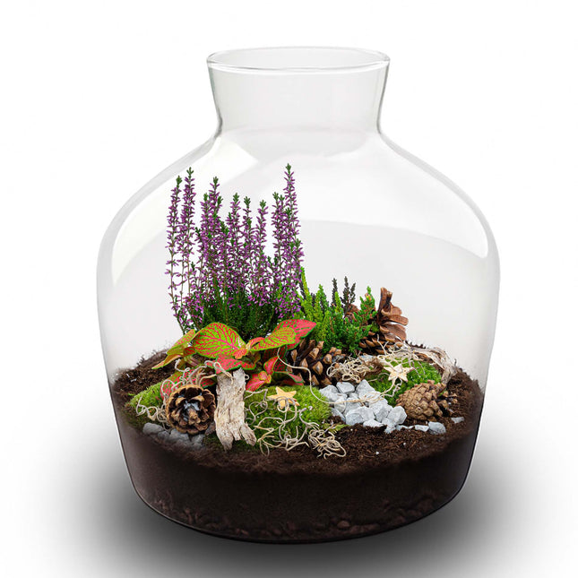 Mistle Winter & Weihnachts-Terrarium – Flaschengarten DIY-Set – Ø 29 cm ↑ 30 cm