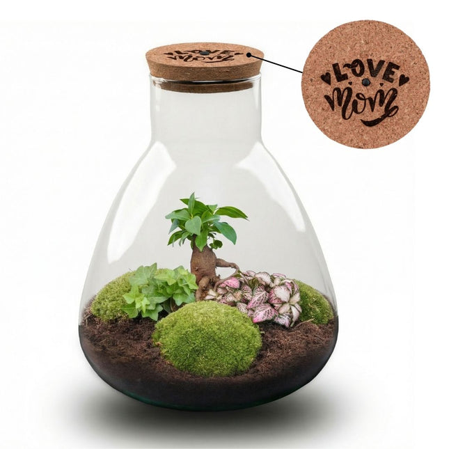 'LOVE MOM' terrarium Sam + Engraved cork with light - Bottle garden DIY kit - Ø 24.5 cm ↑ 30 cm - Mother’s Day