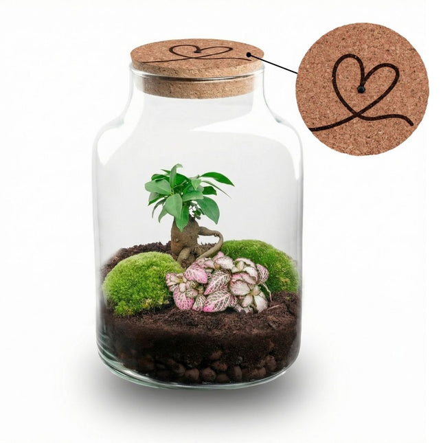 '♡' Terrarium Little Milky + gravierter ♡ Kork mit Licht - Flaschengarten DIY Set - Ø 17 cm ↑ 25 cm - Muttertag