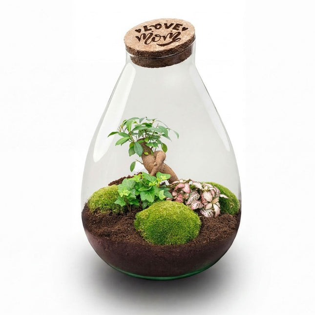 'LOVE MOM' terrarium Drop XL + Engraved cork - Bottle garden DIY kit – Ø 24 cm ↑ 37 cm