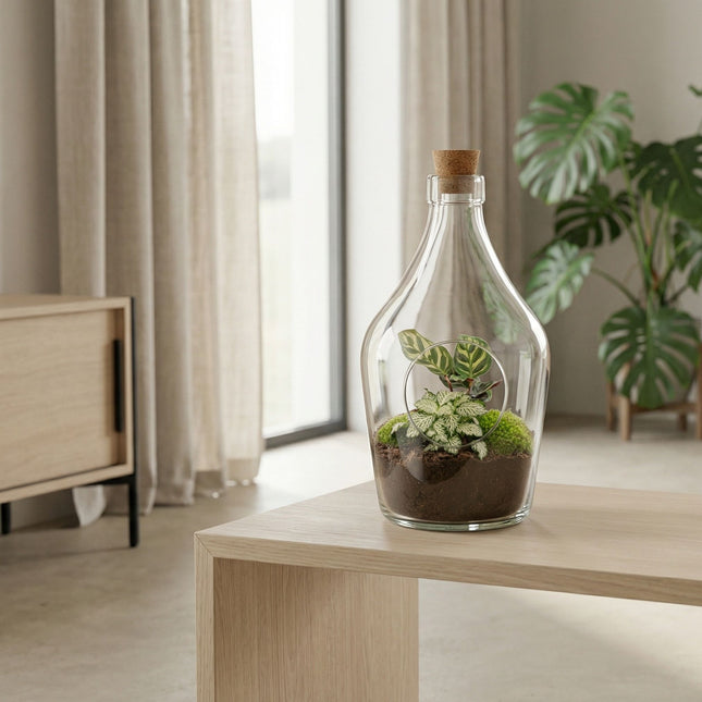 Open terrarium Joss – Calathea & Fittonia White Tiger ↑ 30 cm