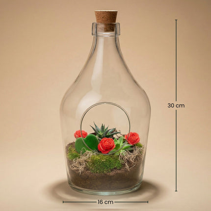 Love in a Bottle - Open terrarium met kurk - DIY kit - Ecosysteem plant - Ø 16 cm ↑ 30 cm