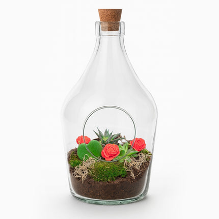 Love in a Bottle - Open terrarium met kurk - DIY kit - Ecosysteem plant - Ø 16 cm ↑ 30 cm