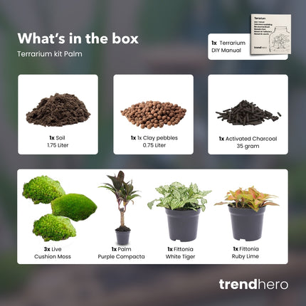 Palm - Plant Terrarium Refill & Starter kit - 3 terrarium plants - DIY