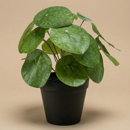 Pilea bush 25 cm in zwarte pot - Kunstplant