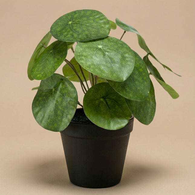 Pilea bush 25 cm in zwarte pot - Kunstplant