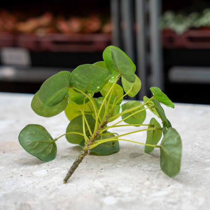 Pilea Mini Bush - Kunstplant - ↑ 15 cm