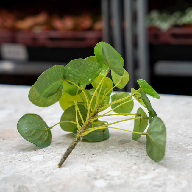 Pilea Mini Bush - Kunstplant - ↑ 15 cm