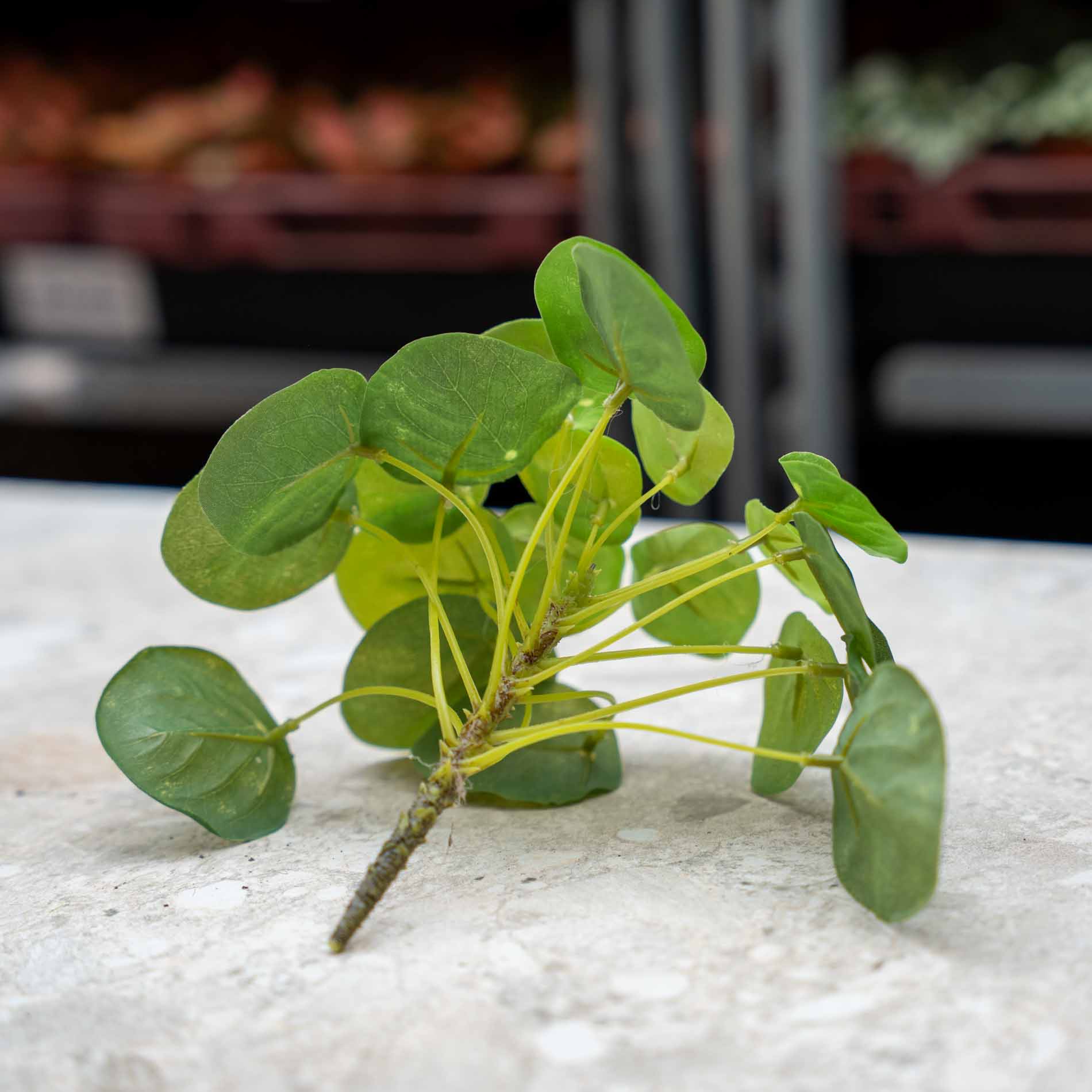 Pilea Mini Bush - Kunstpflanze