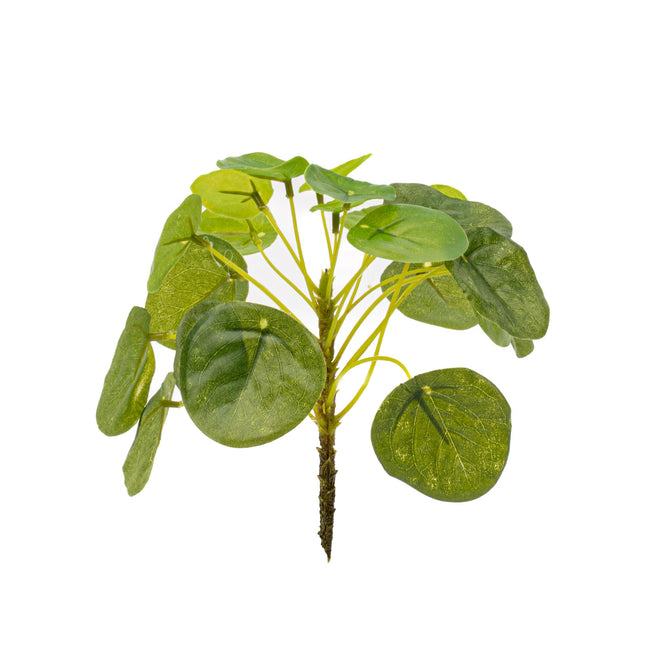 Pilea Mini Bush - Kunstplant - ↑ 15 cm