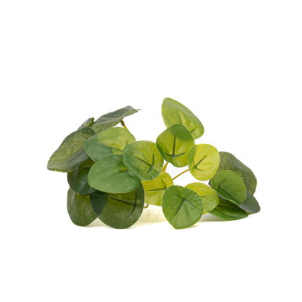 Pilea Mini Bush - Kunstplant - ↑ 15 cm