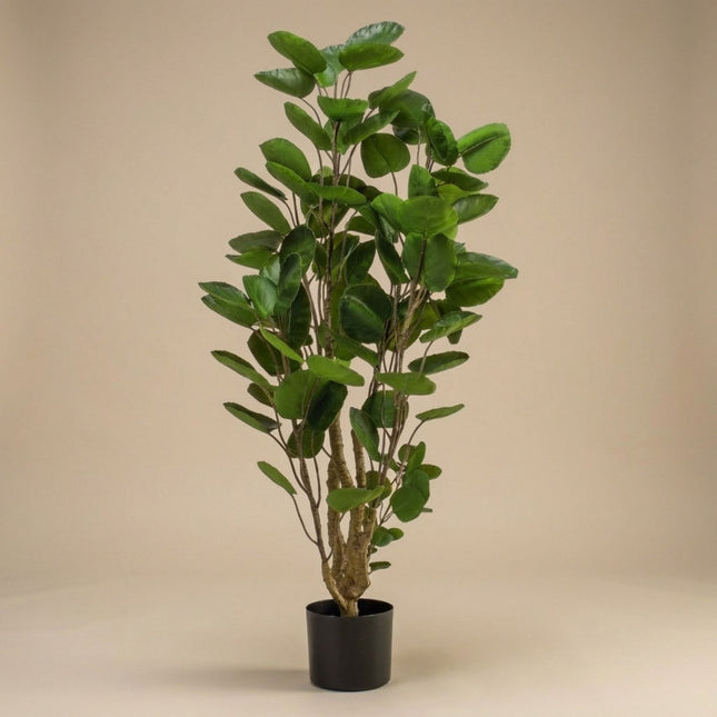 Polyscias boom - 105 cm - Kunstplant