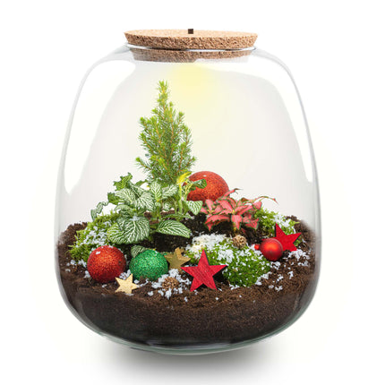 Rudolph Weihnachts-Terrarium – DIY Flaschengarten – Ø 23 cm ↑ 26,5 cm