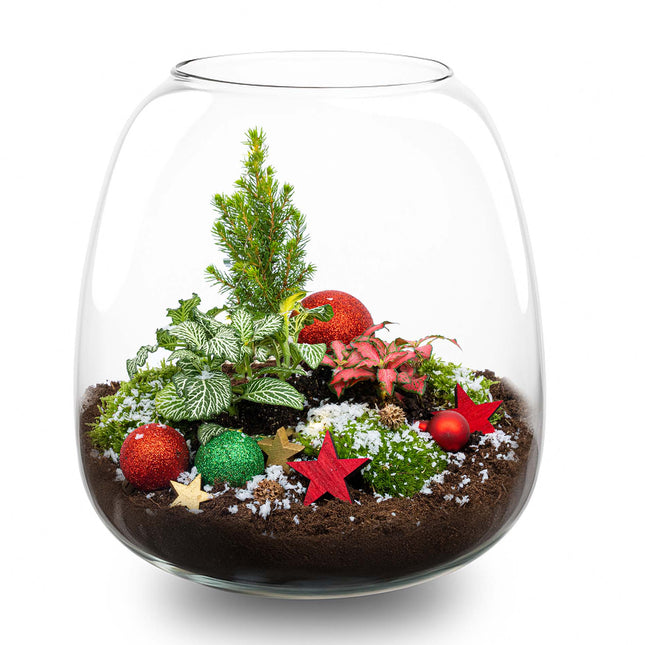 Rudolph Weihnachts-Terrarium – DIY Flaschengarten – Ø 23 cm ↑ 26,5 cm