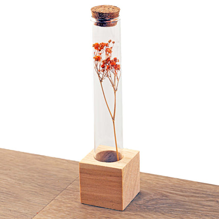 FlowerHero® - Tube S - Trockenblumenständer aus Holz + Trockenblumenarrangement