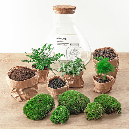 Terrarium DIY Kit • Sam XL • Ecosystem with plants • ↑ 35 cm