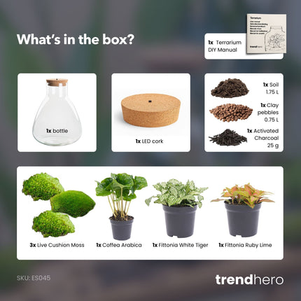 Sam Coffea - Flaschengarten mit Licht - DIY Terrarium mit Pflanzen im Glas - Ø 24,5 cm ↑ 30 cm 