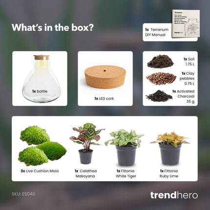 Sam XL Rot - Flaschengarten mit Licht - DIY Terrarium mit Pflanzen im Glas - Ø 30 cm ↑ 32 cm