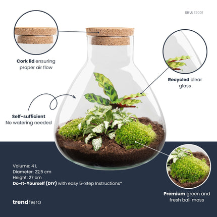 Sammie - Flaschengarten - DIY Terrarium mit Pflanzen im Glas - Ø 22,5 cm ↑ 27 cm