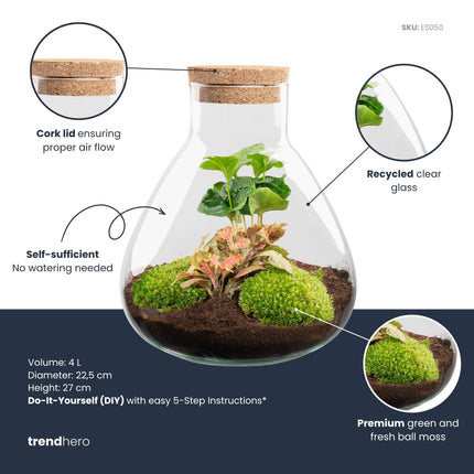 Sammie - Flaschengarten - DIY Terrarium mit Pflanzen im Glas - Ø 22,5 cm ↑ 27 cm