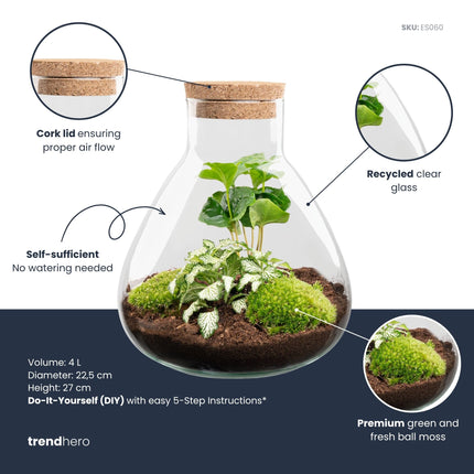 Sammie - Flaschengarten - DIY Terrarium mit Pflanzen im Glas - Ø 22,5 cm ↑ 27 cm