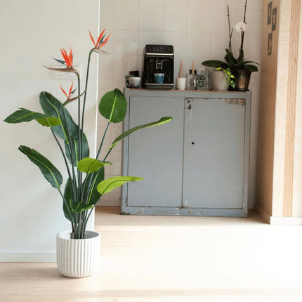 Strelitzia mit Blüten – 120 cm – In Schwarzem Topf – Künstliche Pflanze