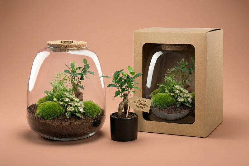 Planten terrarium • Dome Rood • Ecosysteem plant • ↑ 20 cm - DIY - Complete terrarium set - Plantenterrarium - urbanjngl | Terrarium pakket Planten terrarium • Dome Rood • Ecosysteem plant • ↑ 20 cm - DIY - Complete terrarium set - Plantenterrarium - urbanjngl | Terrarium pakket