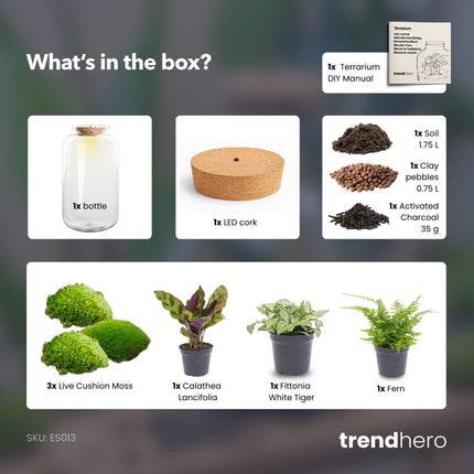 Sven XL Botanical - Flaschengarten mit Licht - DIY Terrarium mit Pflanzen im Glas - Ø 23 cm ↑ 43 cm