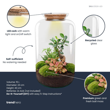 Sven XL Bonsai - Flaschengarten mit Licht - DIY Terrarium mit Pflanzen im Glas - Ø 23 cm ↑ 43 cm
