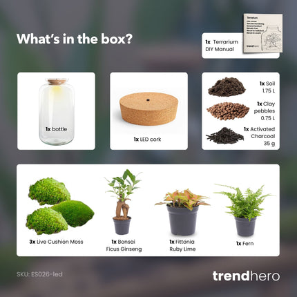 Sven XL Bonsai - Flaschengarten mit Licht - DIY Terrarium mit Pflanzen im Glas - Ø 23 cm ↑ 43 cm
