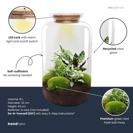 Sven XL Botanical - Flaschengarten mit Licht - DIY Terrarium mit Pflanzen im Glas - Ø 23 cm ↑ 43 cm