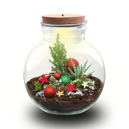 Jingle Weihnachts-Terrarium – DIY Flaschengarten – Ø 25 cm ↑ 26,5 cm