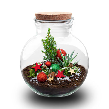 Jingle Weihnachts-Terrarium – DIY Flaschengarten – Ø 25 cm ↑ 26,5 cm