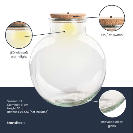 Terrarium fles 'Teddy' - Incl. (LED) kurk - Gesloten terrarium Ø 25 cm ↑ 26.5 cm
