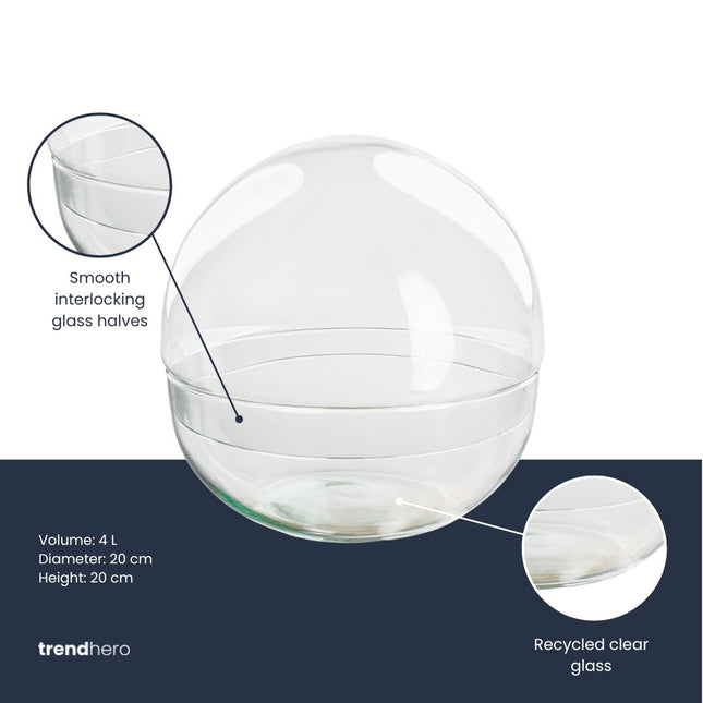 Terrarium bottle ‘Dome’ – Two-part round glass – Closed terrarium Ø 20 cm ↑ 20 cm