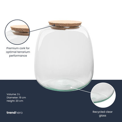 Terrarium fles ‘Emma Mini’ met kurk - Gesloten terrarium  Ø 19 cm ↑ 20 cm 